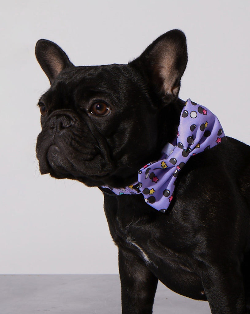 Ruff boyz dog bark collar cheap