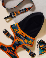 Camo QT Orange Dog Walk Set