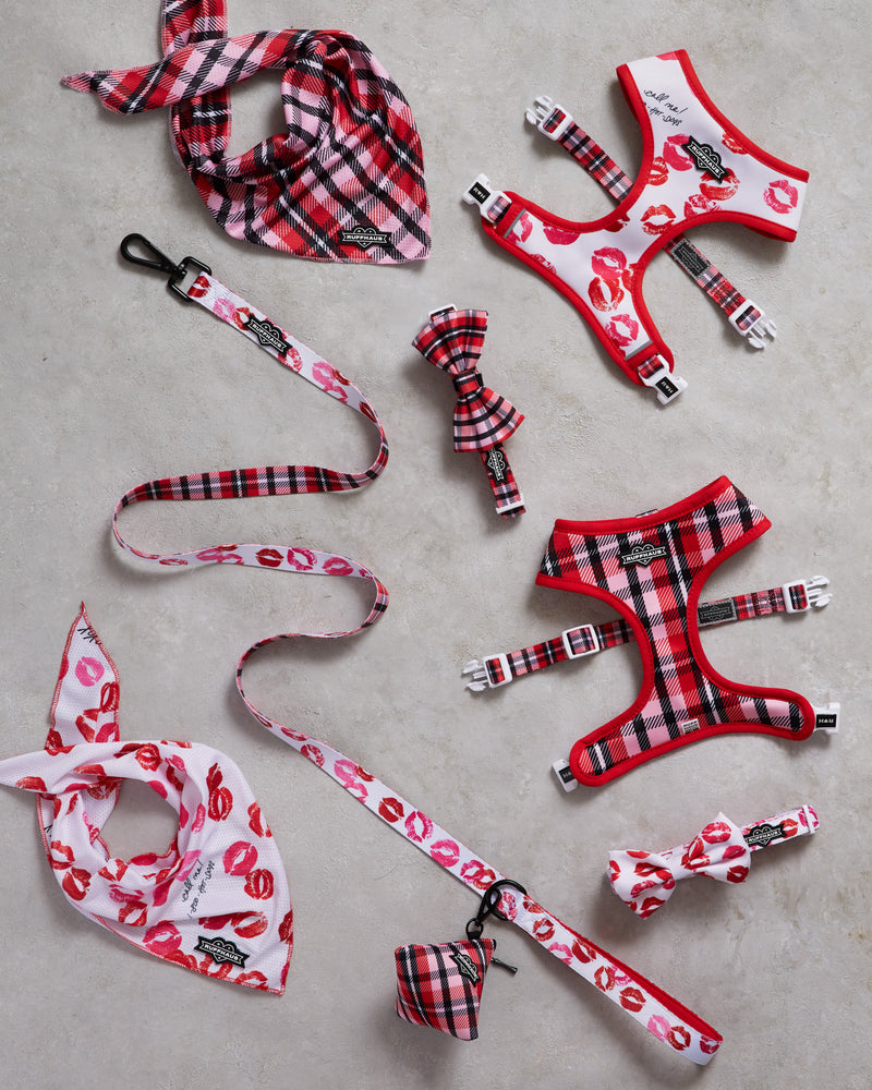 
            
                Load image into Gallery viewer, Smooch My Pooch Reversible Harness
            
        