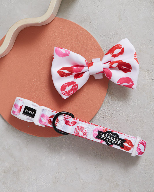 Collier et nœud papillon pour chien Smooch My Pooch