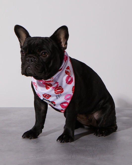 Bandana rafraîchissant Smooch My Pooch