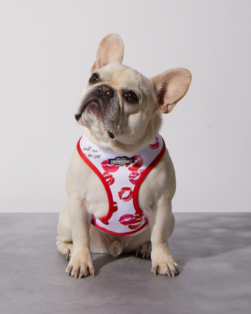
            
                Load image into Gallery viewer, Smooch My Pooch Reversible Harness
            
        