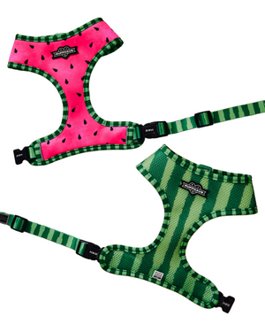 What-A-Melon Reversible Harness