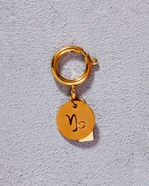 Zodiac Drip Horoscope Charms