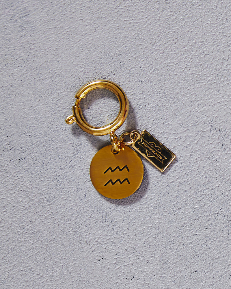 Zodiac Drip Horoscope Charms