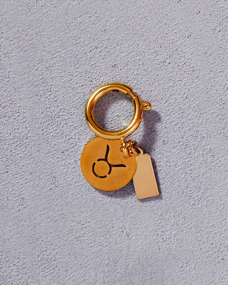 Zodiac Drip Horoscope Charms