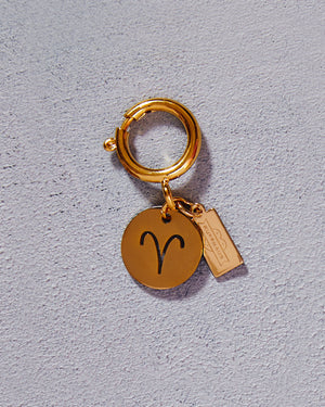Zodiac Drip Horoscope Charms