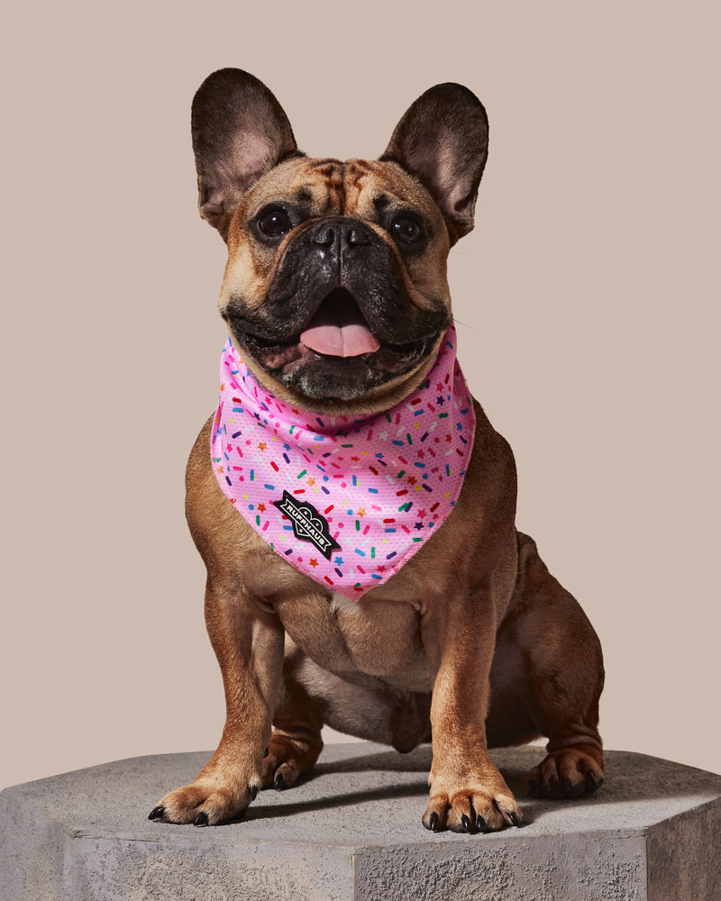 
            
                Load image into Gallery viewer, Sprinkle Me Pink Cooling Bandana
            
        
