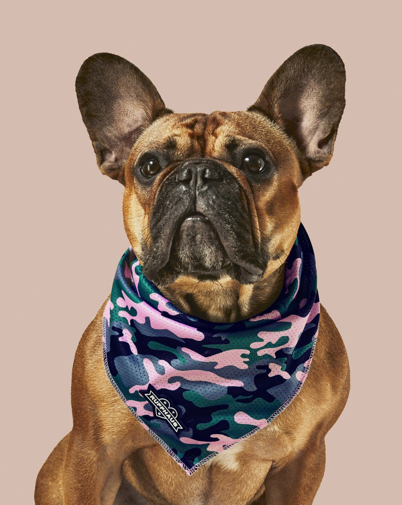 
            
                Load image into Gallery viewer, Camo QT Pink Cooling Bandana
            
        