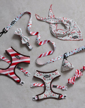 
            
                Load image into Gallery viewer, Peppermint Bark Dog Collar &amp;amp; Bowtie
            
        