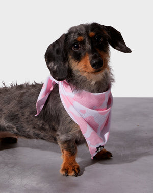 
            
                Load image into Gallery viewer, Pink Moo&amp;#39;d Cooling Bandana
            
        