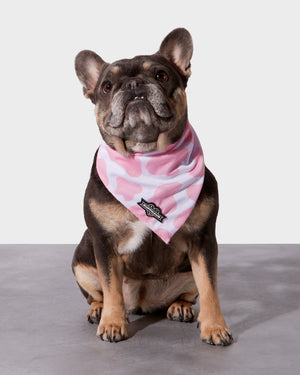 
            
                Load image into Gallery viewer, Pink Moo&amp;#39;d Cooling Bandana
            
        