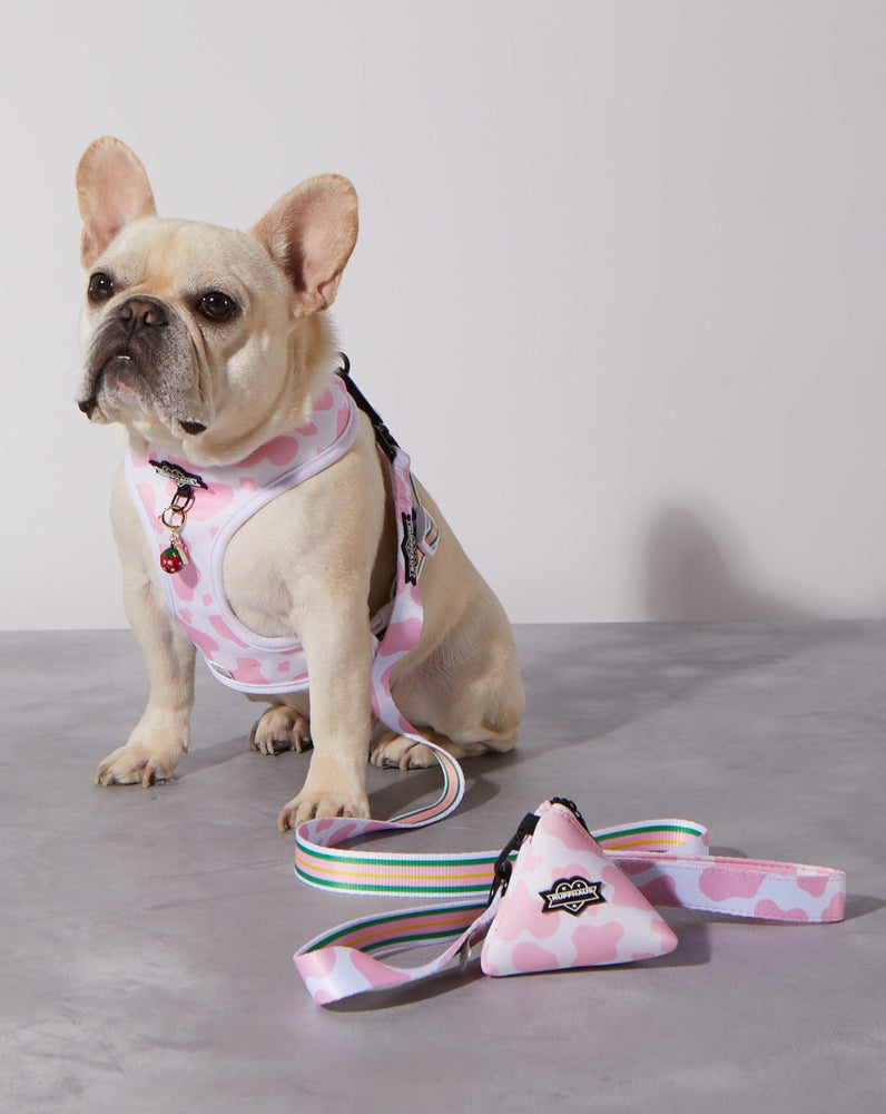 Pink Moo'd Dog Leash – RUFFHAUS NYC
