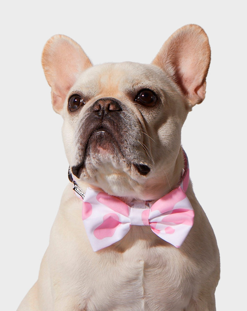 
            
                Load image into Gallery viewer, Pink Moo&amp;#39;d Bowtie
            
        