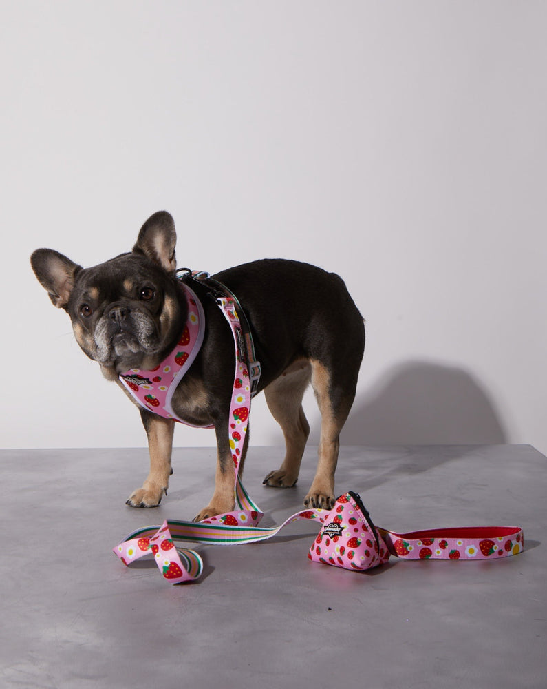 Boho Glass Pearl Genuine Leather Pink Dog Collar – Ruff Houzin