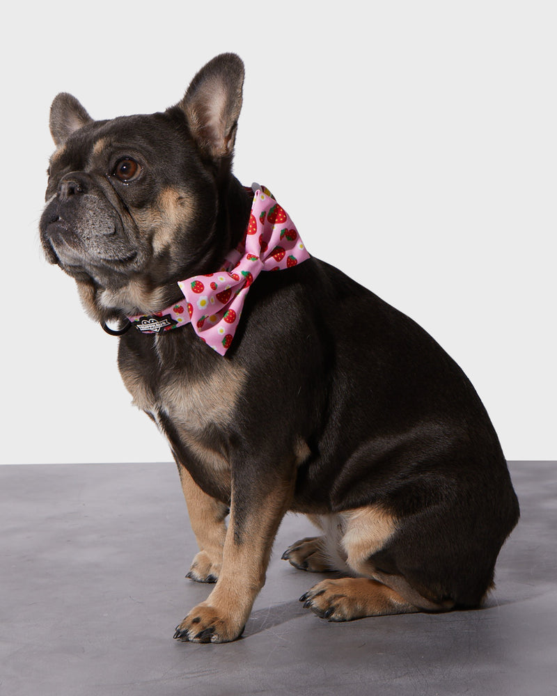 
            
                Load image into Gallery viewer, Strawberry Collar &amp;amp; Bowtie
            
        