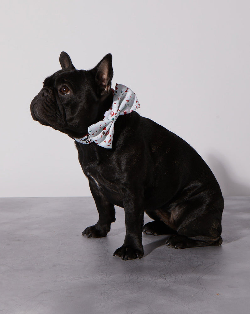 Peppermint Bark Dog Collar & Bowtie