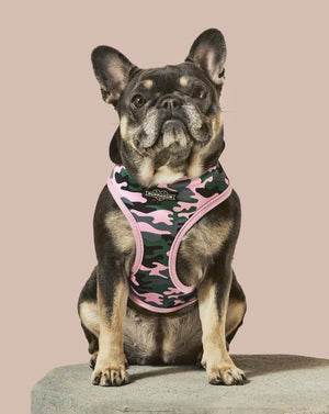 
            
                Load image into Gallery viewer, Camo QT Pink Hoodie Harness
            
        