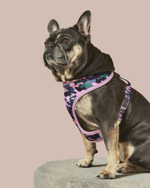 
            
                Load image into Gallery viewer, Camo QT Pink Hoodie Harness
            
        