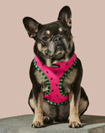 What-A-Melon Reversible Harness