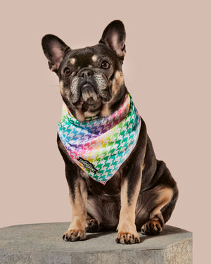 
            
                Load image into Gallery viewer, Rainbowtooth Cooling Bandana
            
        