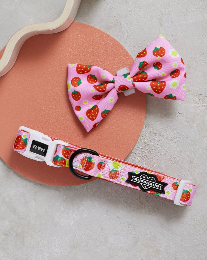 
            
                Load image into Gallery viewer, Strawberry Collar &amp;amp; Bowtie
            
        